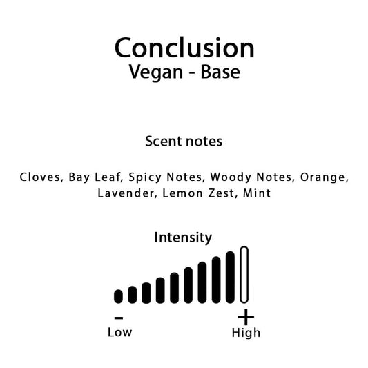 Aftershave HAGS Conclusion Alcool Free 100ml